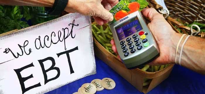 Stores That Accept EBT Online